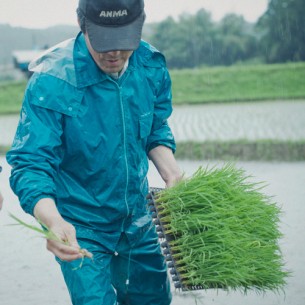 今年、田植えを少しお手伝いしました。このときは雨がとても強く大変でした。それを丁寧に育ててくれてその稲がもうすぐ刈り取りの時期です。これは楽しみだ！