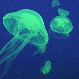 人生、輝きながら、ふらふらふわふわ。